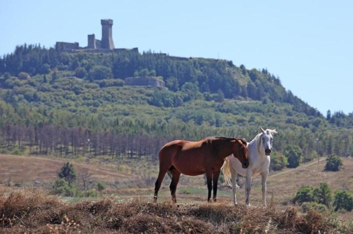 Casa Bandino Appartement Campiglia dʼOrcia Buitenkant foto